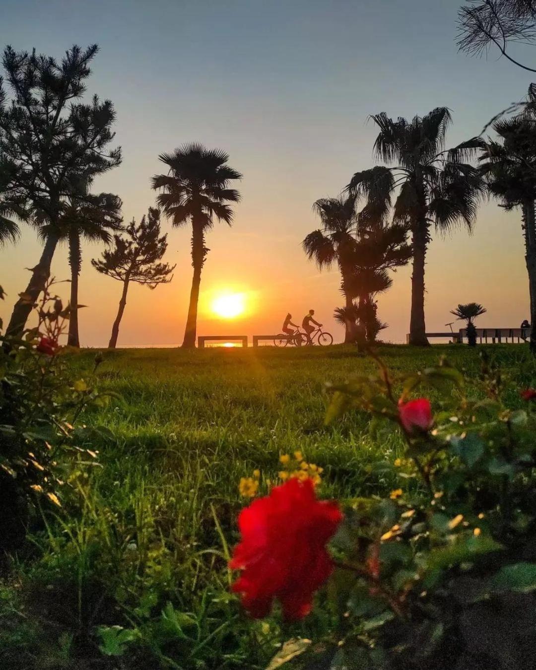Elegance Sea View Aparthotel In Orbi City Batumi Bagian luar foto